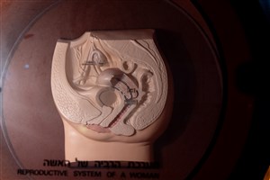 Image description is not available for 1983.74.1